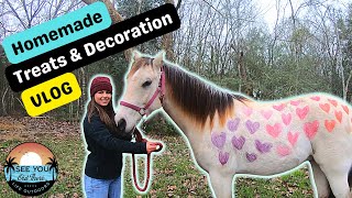 Homemade Horse treats and DECORATION {Texas VLOG}