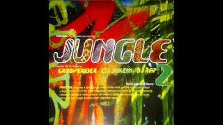 DJ Rap Fantazia takes you into the Jungle