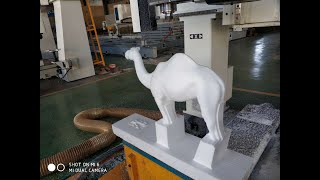 Acctek 5axis cnc milling camel