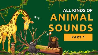 ALL KINDS OF ANIMAL SOUNDS. PART 1