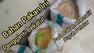 Racikan Pakan Puyuh Petelur Terbaru 2020, Tanpa Bekatul