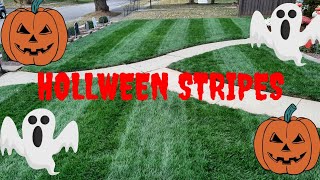 HALLOWEEN DOMINATION MOW