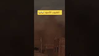 الهبوب الأسود يضرب الولايه الشماليه بقوه