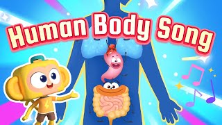 🎵Kids Song About Human Body | Fun Song Teaches Kids About the Human Body! 🎵