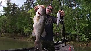 MONSTER BASS SMOKES 11" PIZZ DDT GLIDE BAIT!