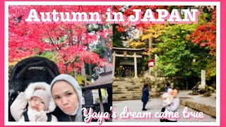 AUTUMN IN JAPAN - THE BEST SEASONS TO VISIT THE COUNTRY / YAYA TRAVEL