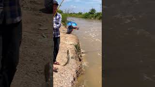 WOOW!!!Fisherman Cast Net Fishing Real Life Amazing Fishing At Countryside.(Episode 152)