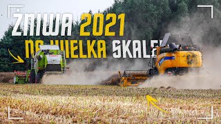 Wielkie Żniwa w Gr Radłów 2021 - New Holland cx 8.90, Claas Tucano 440 - Małopolskie