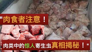 "肉类的黑暗之谜：年轻人不可忽视的寄生虫和细菌真相！"Hidden parasites and bacteria in meat。