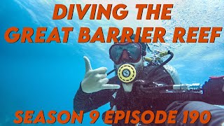 Diving the Great Barrier Reef | Australia's Underwater Paradise