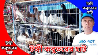 টঙ্গী বাজার হাটে কবুতরের দাম জানুন | tongi bazar pigeon hat | টঙ্গী কবুতরের হাট | 08/09/2019 PART-7