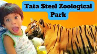 Jamshedpur ZOO | Tata Steel Zoological Park in Tatanagar | Indian Zoo