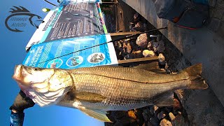 Robalo escollera de playa linda Ixtapa Zihuatanejo 10k