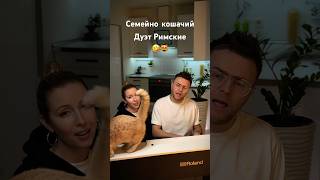 Семейно-кошачий подряд! Знакомьтесь наш рыжий котик по имени Серый) #дуэтримские #shorts #манчкин