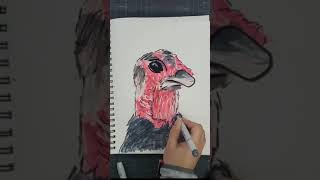 Drawing a Turkey