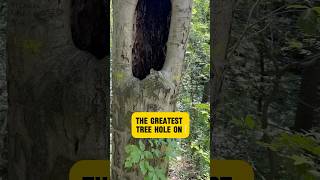 The BEST Hole On Earth - WATCH What Lives IN Here!! #shorts #nature #animal