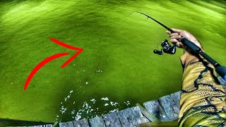 PIER FISHING with an ULTRALIGHT COMBO (Baffin Bay Trout Fishing)