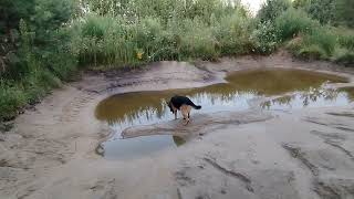 Гуляем с Лари ...субботний вечер...