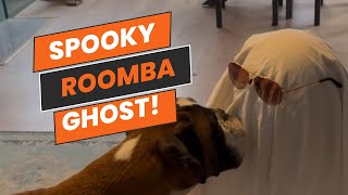 Spooky roomba ghost to scare our dogs!