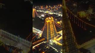 Thiruvannamalai Gopuram Lighting | #thiruvannamalaitemple #Droneviewofthiruvannamalai #Shivan  Reels