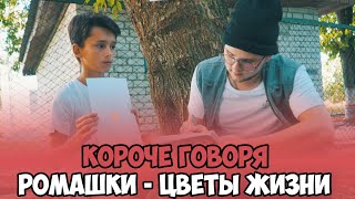 КОРОЧЕ ГОВОРЯ, РОМАШКИ - ЦВЕТЫ ЖИЗНИ