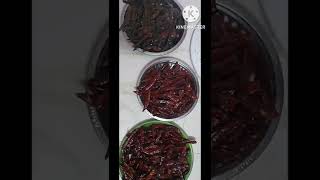 Homemade  red Chilli powder