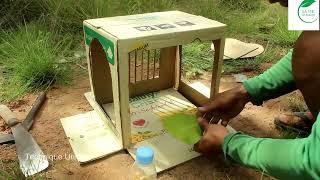 Piège à pigeon fabriqué à partir d'une boîte en carton -Technique créative unique de piège à oiseaux