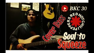 Soul to Squeeze - Red hot Chili peppers|| Cover Bass ||