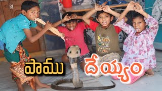 Paamu Deyyam పాము దేయ్యం / Radha Videos / Snake Funny Videos / Kittu Comedy / Maa Village Show