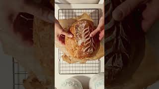 I Made Sourdough Bread from Scratch! Check Out the Crunch and Perfection! #food #breakfast #bakery