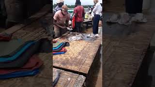 Africa fish market