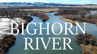 Big Browns on the Bighorn - Fall River Fishing (Fishing Montana)