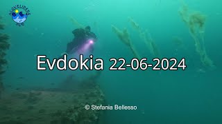 Relitto Evdokia II sembra infestato dai Fantasmi - Relitti a Chioggia