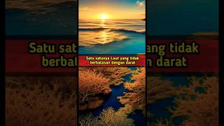 Fakta Laut Sargasso #shortvideo