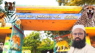 Kamla Nehru Zoo Kankariya Ahmedabad