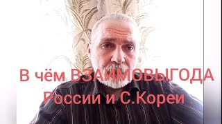 В чём ВЗАИМОВЫГОДА России и С.Кореи .