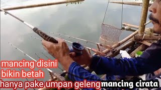 mancing cirata//mancing disini bikin betah!!hanya pake umpan geleng