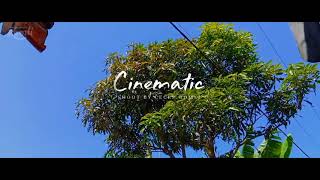 VIDEO CINEMATIC AESTHETIK ||  |CINEMATIK TIKTOK || ANDROID | Cinematik estetik 30 detik