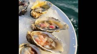 Episode 269 - Oyster farming in Alaska