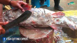 Amazing Big Catfish Cutting With Knife | Fish Cutting In Bangladesh Market