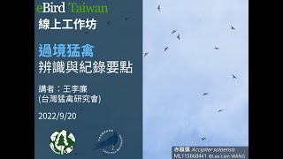 eBird Taiwan線上工作坊 - 過境猛禽辨識與紀錄要點 2022.9.20