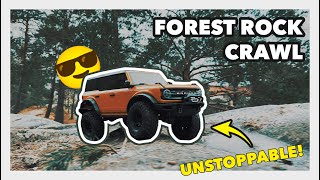 Traxxas TRX-4 2021 Bronco Forest Rock Crawl.