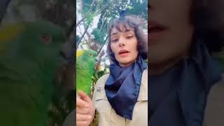 cute parrot funny video #shorts#funny#tiktok#trending#shortvideo#viral#youtubeshorts#status#parrot 2