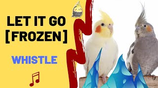 LET IT GO [FROZEN] WITH WHISTLE - Cockatiel Singing Training - Bird Whistle - Parrot Practice