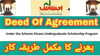 Deed of agreement Ehsaas Schlorship || How to fill Ehsaas Sachlorship deed agreement