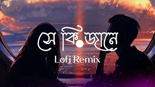 Shey Ki Jane (Lofi Remix) | সে কি জানে | Tanveer Evan | Ahmed Shakib | Raz Dee | Lofi's Book Bangla