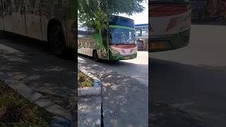 mbah e Jetbus 1  generasi pertama jetbus Restu panda #basuri #restupanda #babybus