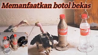 Tempat pakan ayam DOC dan tempat minum Otomatis