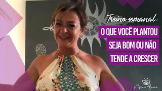 Treino semanal: O que você plantou seja bom ou não tende a crescer| Marcia Bruno Coach