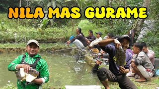 BORONGAN MANCING IKAN NILA CAMPUR 1,3 JUTA MANTAP